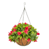 HGD 33cm Outdoor Pink Bougainvillea Hanging basket