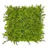 HGD 50x50cm Winter Creeper Tile