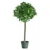 90cm Outdoor Topiary Bay Tree