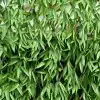 HGD 180cm x 90cm Bamboo Leaf Artificial Expanding Hedge Trellis