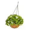 HGD 33cm Outdoor White Sakura Hanging basket