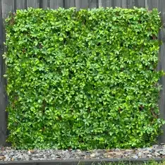 Expanding Trellis Green Wall Screen